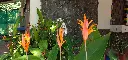 20200703_090548.webp